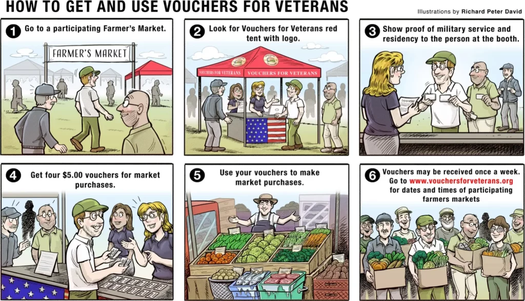 Six box comic strip wshowing instructions for using Vouchers for Veterans.